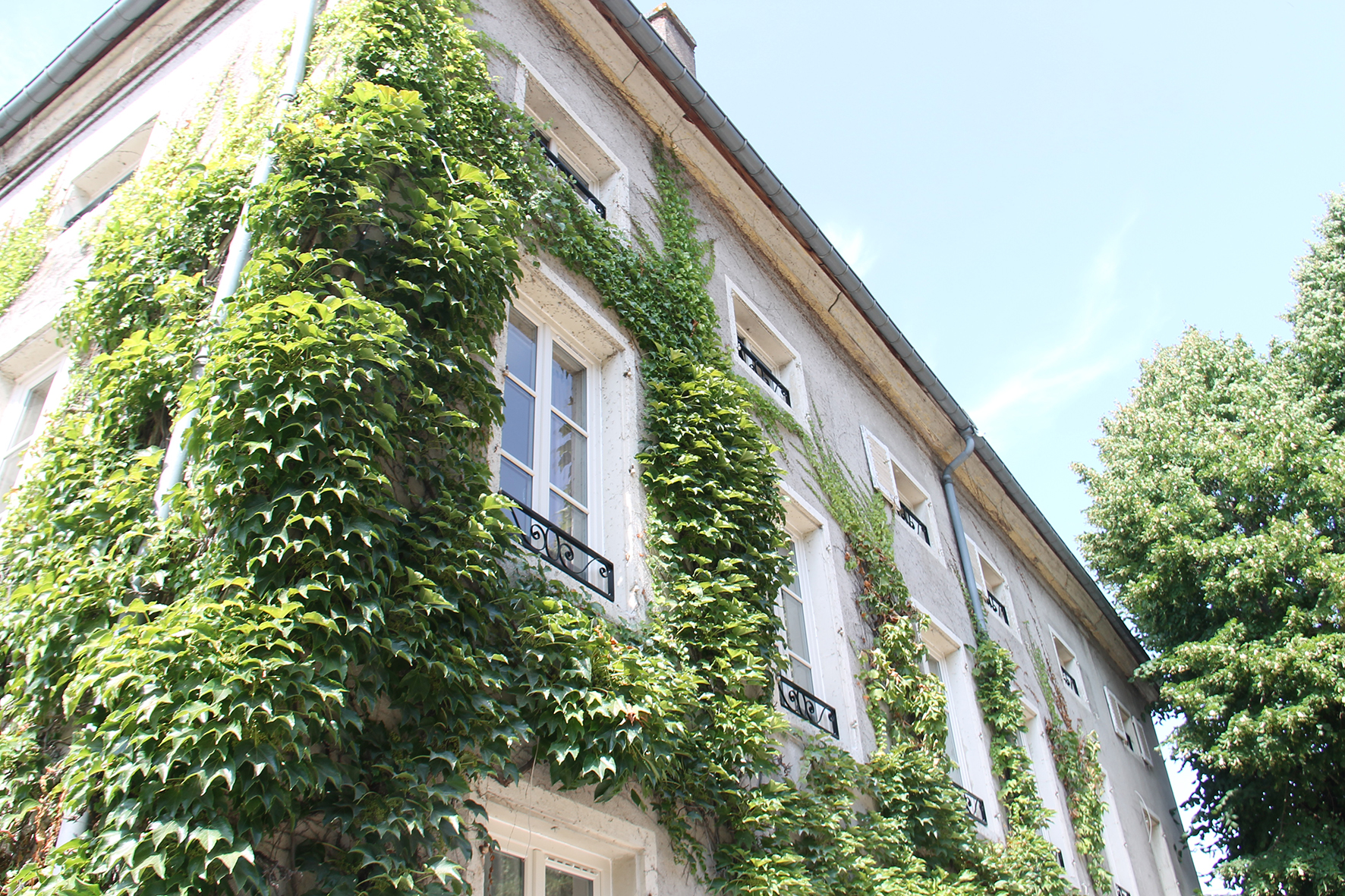 Faut-il inventer d'autres règles pour la rénovation énergétique du bâti ancien ?