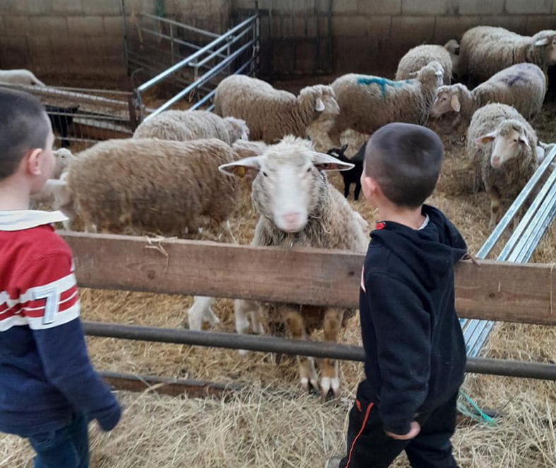 L’EARL Des Perce Neige participe à l’opération «Bienvenue à la ferme en Meuse»
