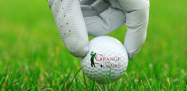 Le Grand Prix de la Grange aux Ormes se prépare 