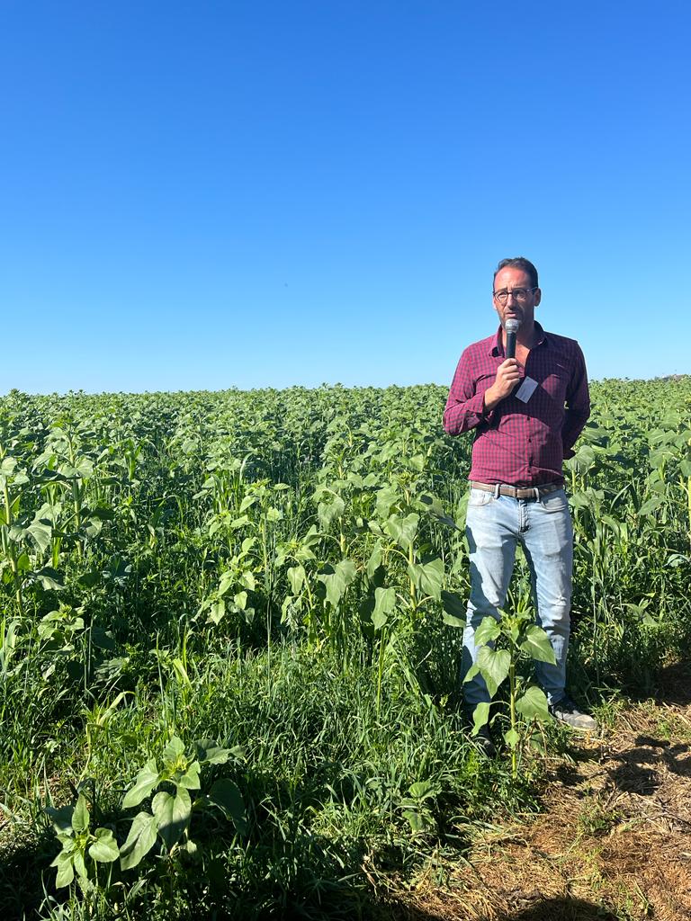 Chez McDonald's France, les champs de blé de l'Oise seront régénérateurs  