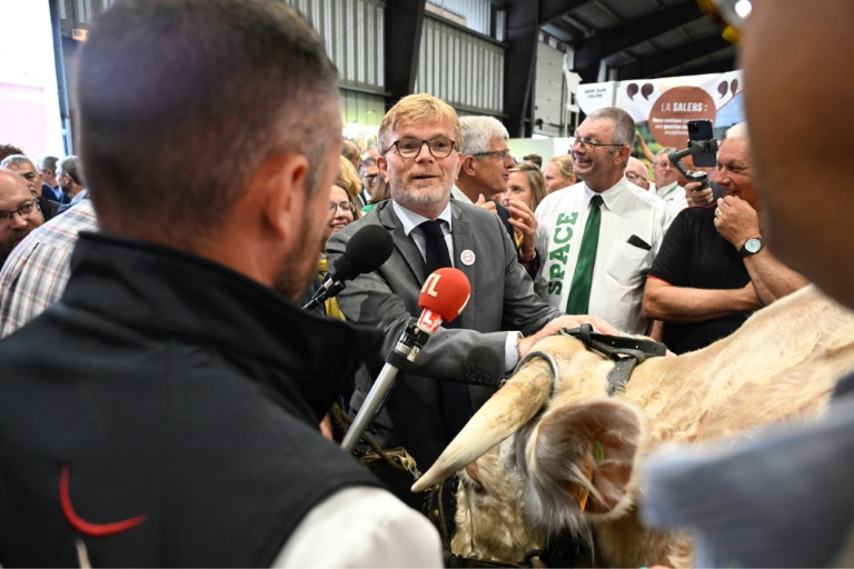 Elevage: la revanche du modèle intensif