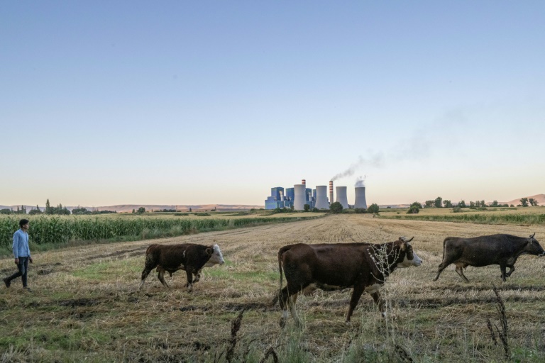 La pollution par habitant liée au charbon augmente dans les pays du G20