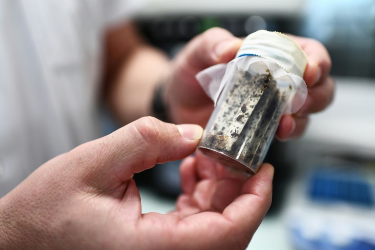 Punaises de lit: Beaune va convoquer les opérateurs de transport