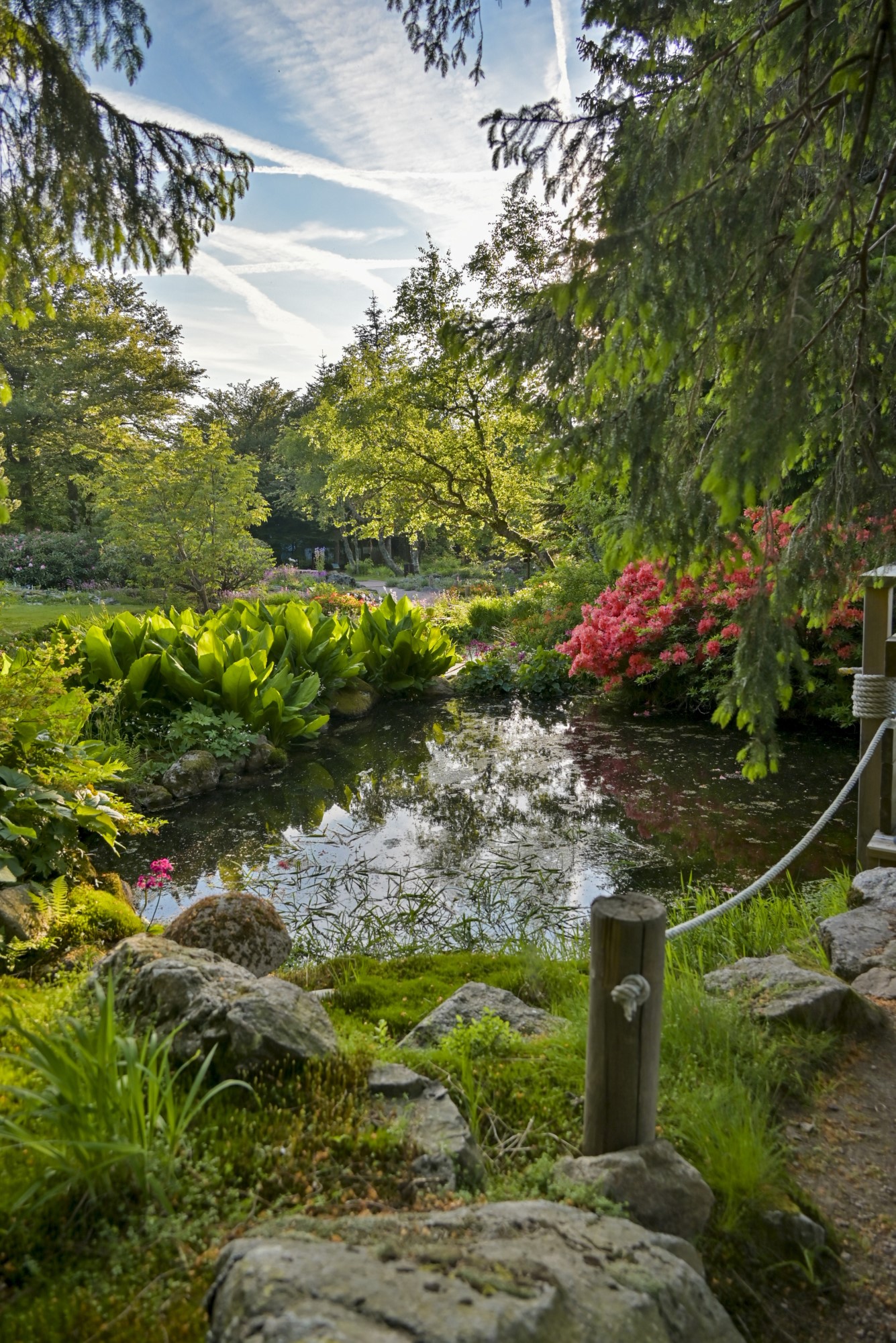 Le Jardin Remarquable du Haut Chitelet obtient sa première étoile