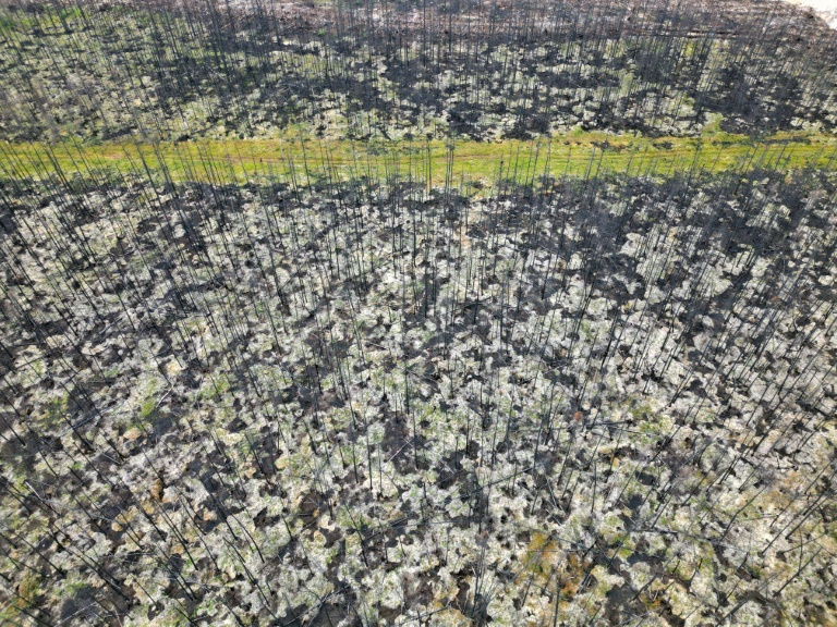 Le Canada meurtri par la pire saison des feux de son histoire