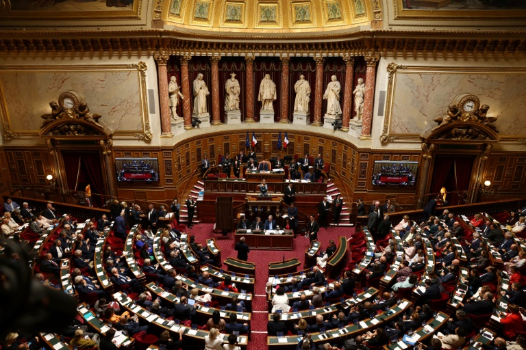 Loi de programmation budgétaire: le Sénat tente d'exister, malgré le 49.3