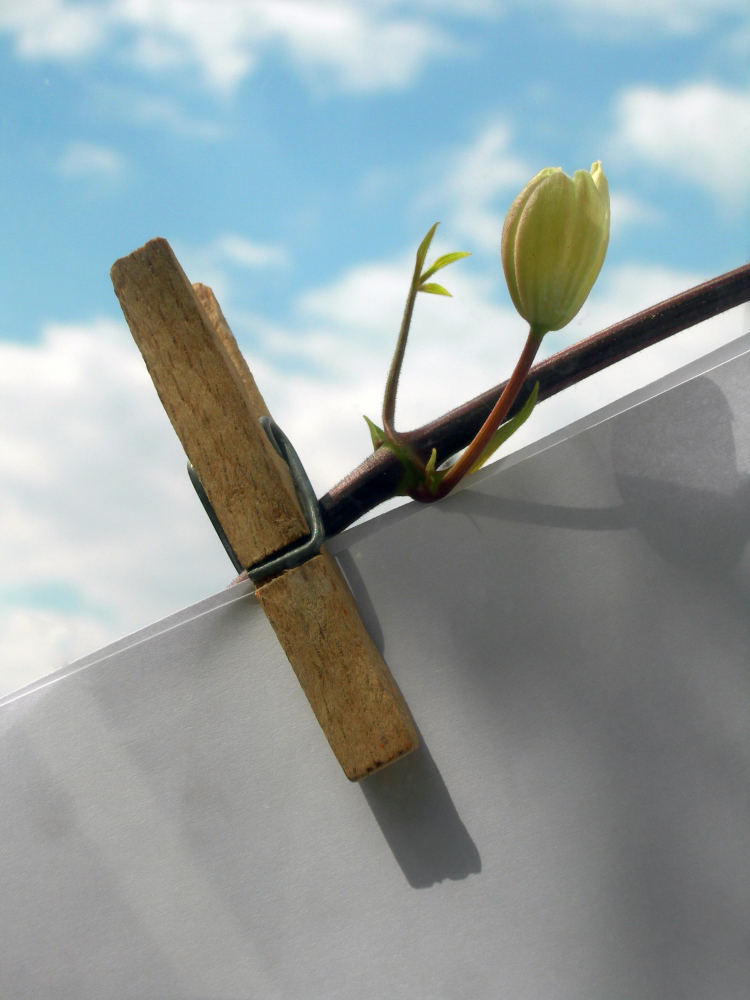 À Château-Salins, on fait La Grande Lessive®