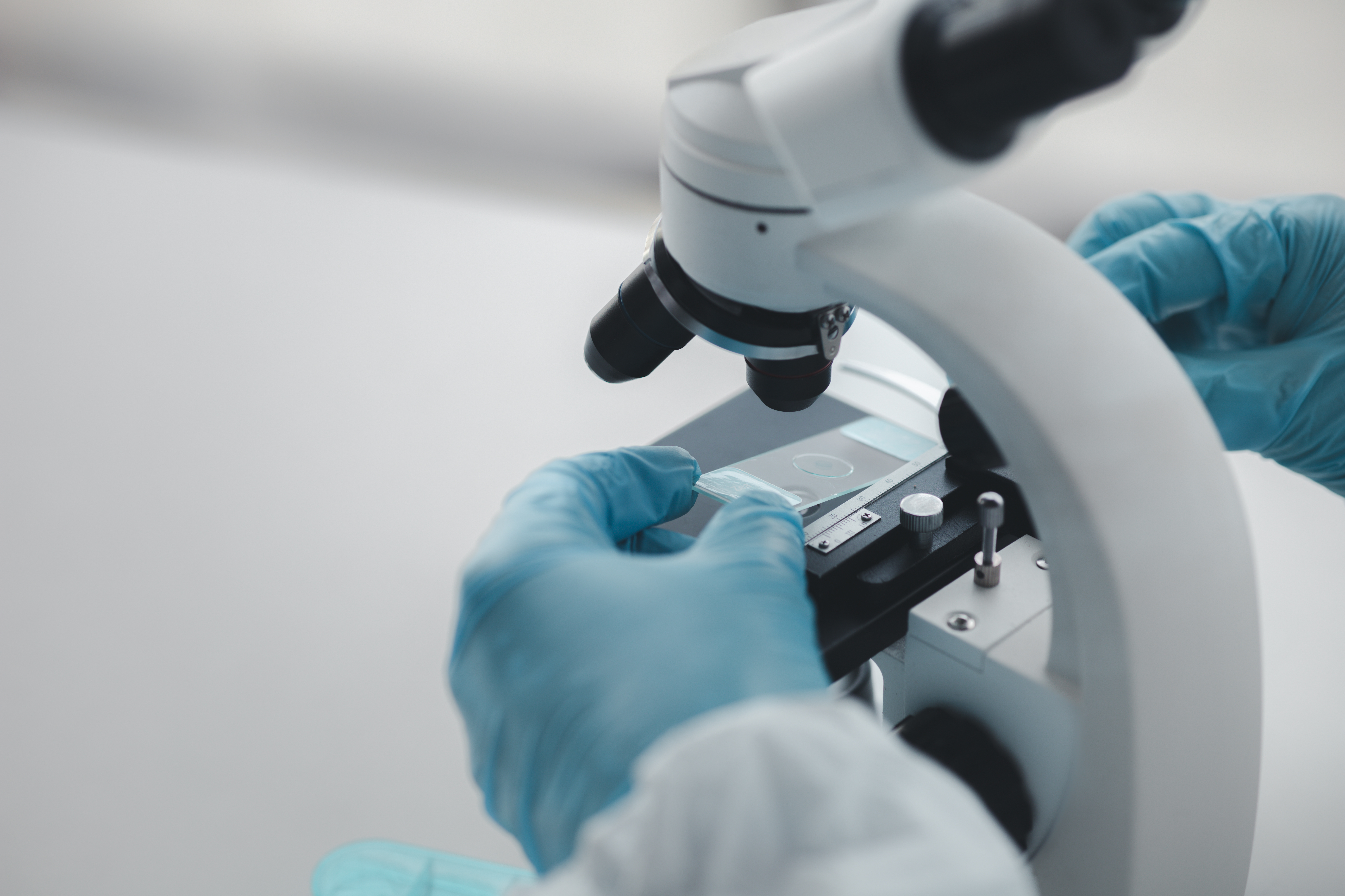 La start-up dijonnaise Cohésive lance une levée de fonds de 5 M€