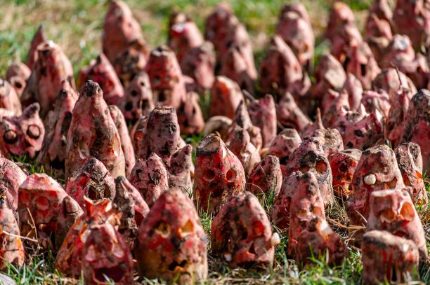 Bêtes & Sorcières : quand la Moselle frissonne ! 