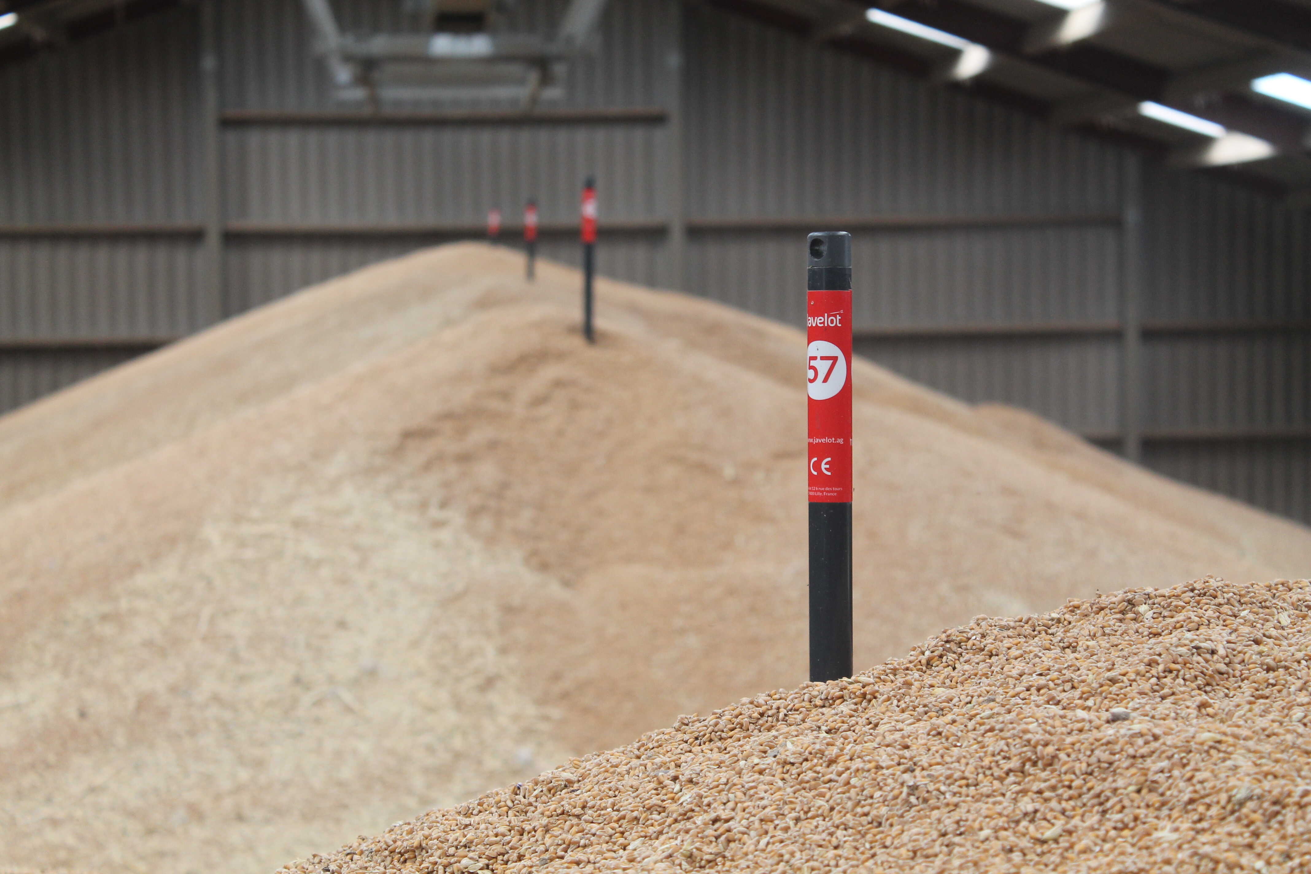 Wasquehal : Javelot et Agrisight se rapprochent