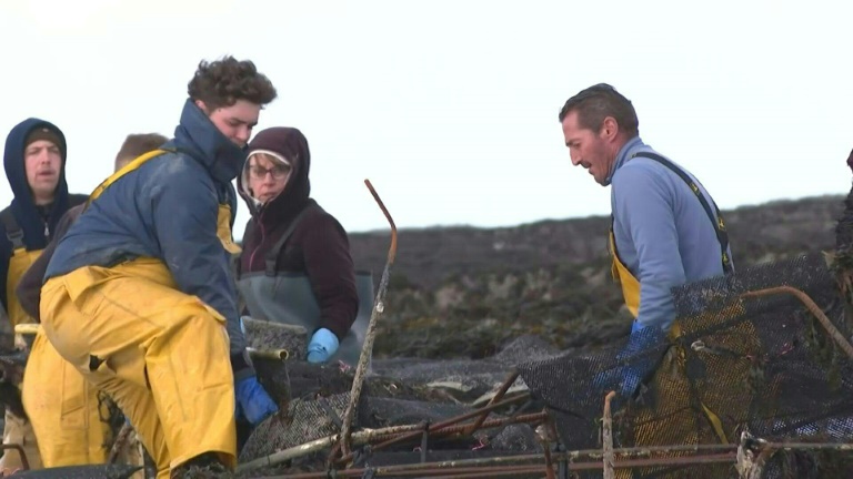 En Normandie, les ostréiculteurs constatent les dégâts après la tempête