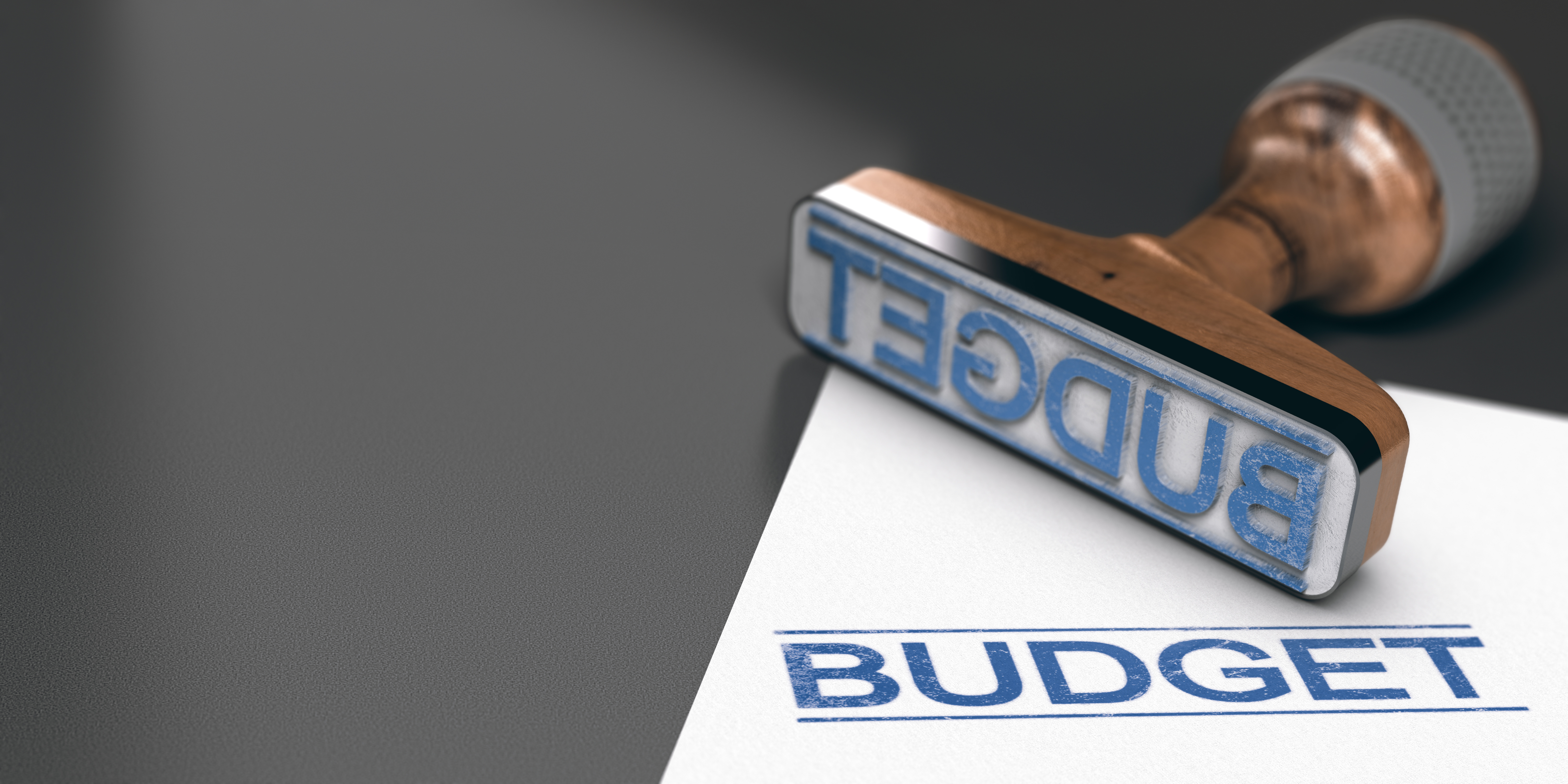 Saint-Dié-des-Vosges : les principaux projets en 2024