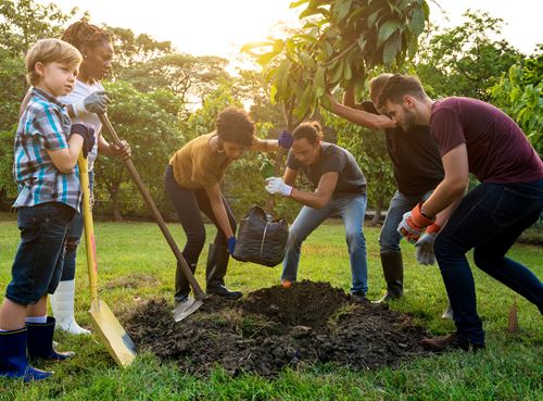 Hauts-de-France : le Festival Arbre et Nature, une plongée au cœur de la nature de la région 