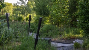 Le Jardin des songes à Amiens : un nouveau Jardin de la paix bientôt à la Citadelle