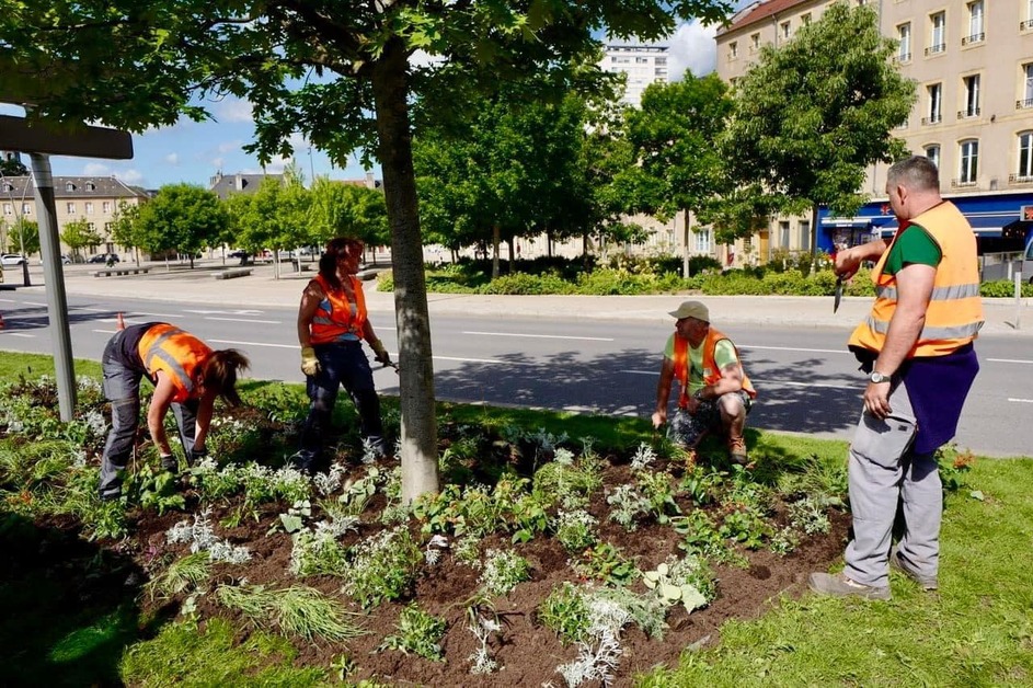3 libellules pour Metz 