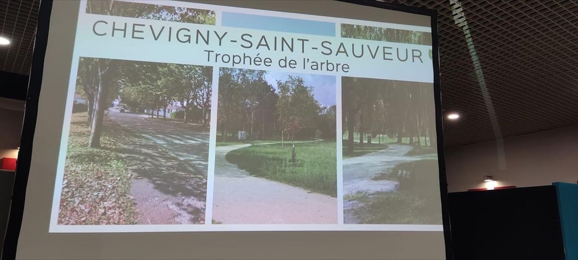 Chevigny-Saint-Sauveur : un exemple en matière de protection de la nature