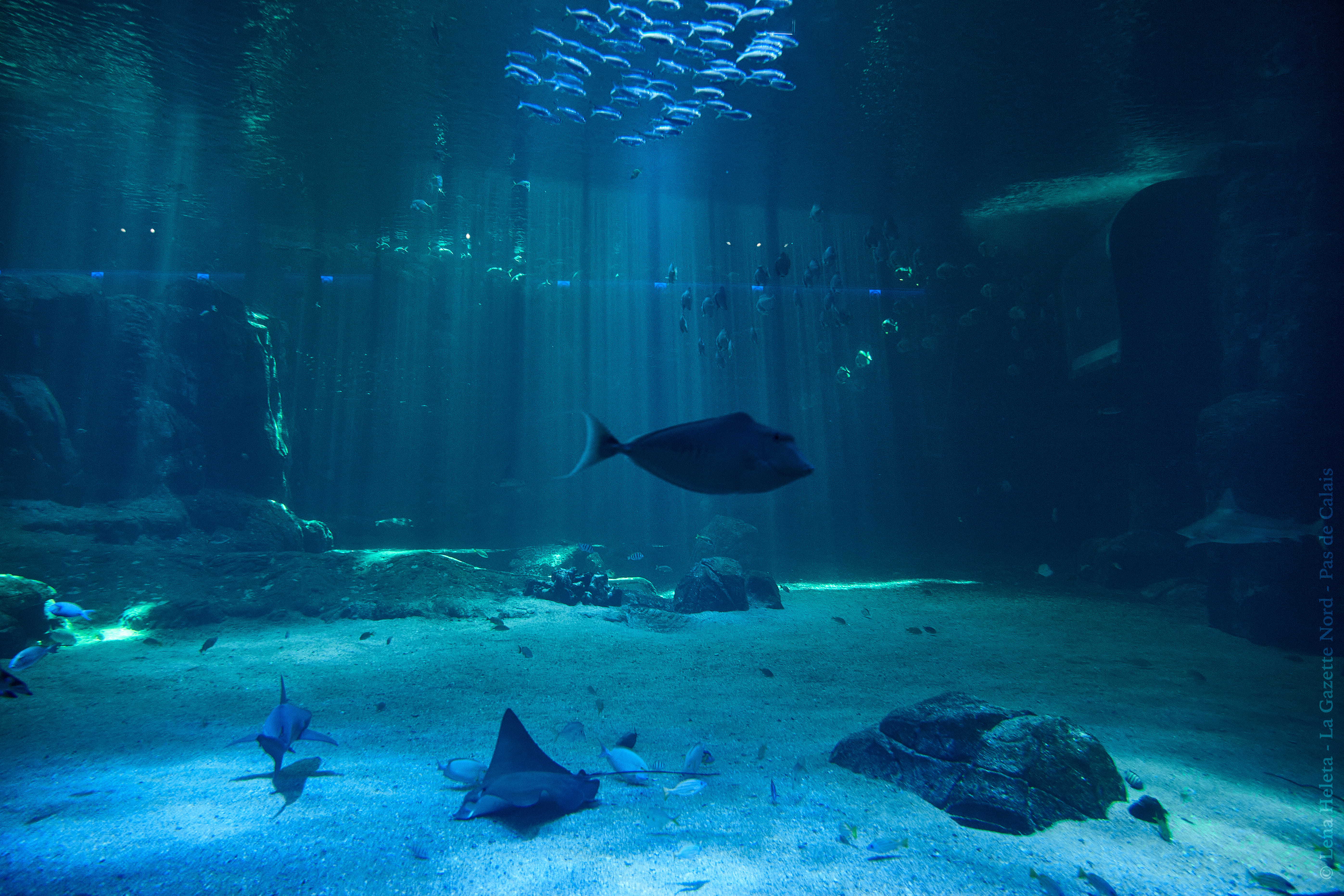 La Banque Populaire du Nord s'engage auprès du Crédit Maritime Nord