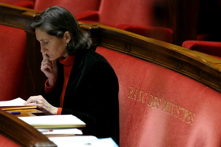 Education: grève et audition à l'Assemblée pour Oudéa-Castéra, sur la sellette