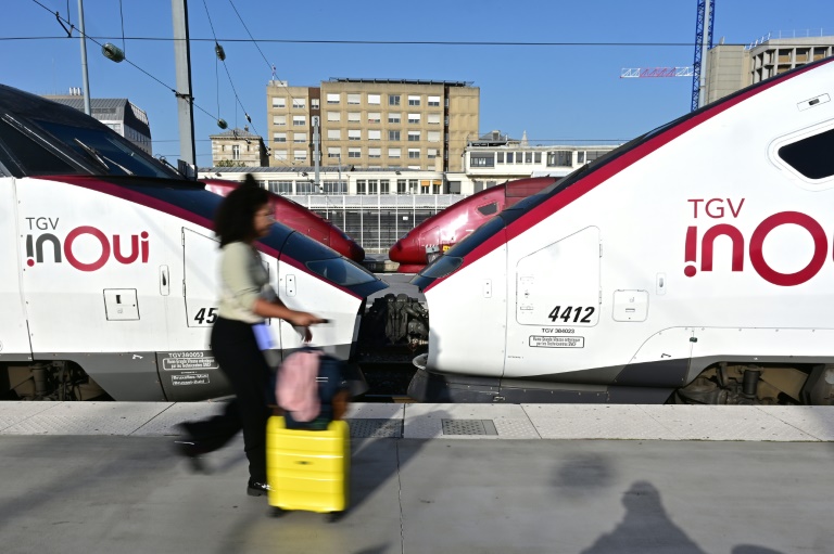 Grève des contrôleurs SNCF: un TGV sur deux pour un des principaux week-ends de chassé-croisé