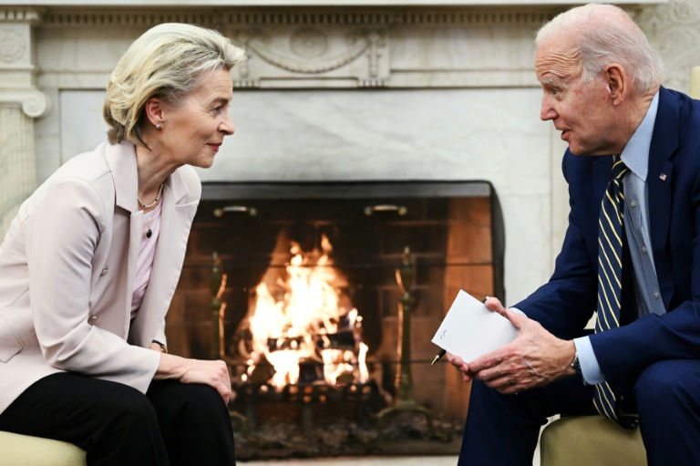Ursula von der Leyen, une autorité forgée dans les crises