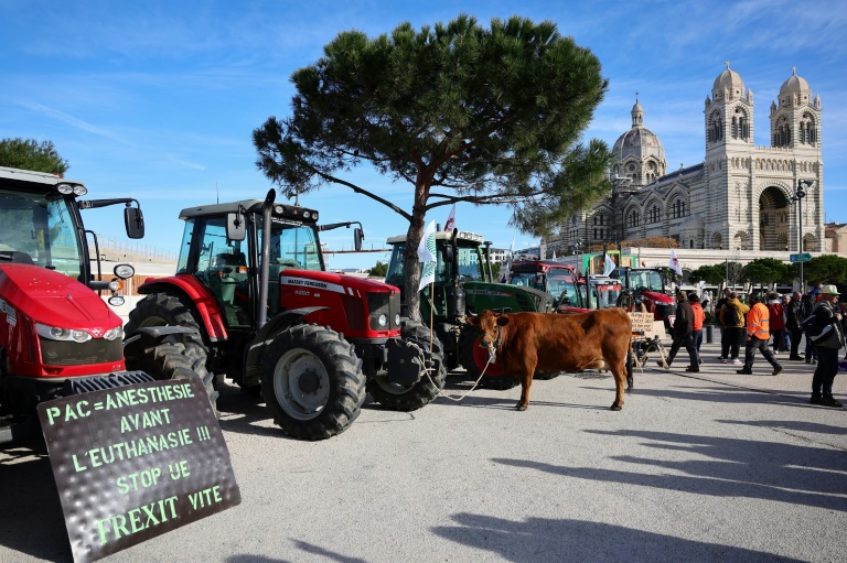 Manifestation d'agriculteurs dans le centre de Marseille