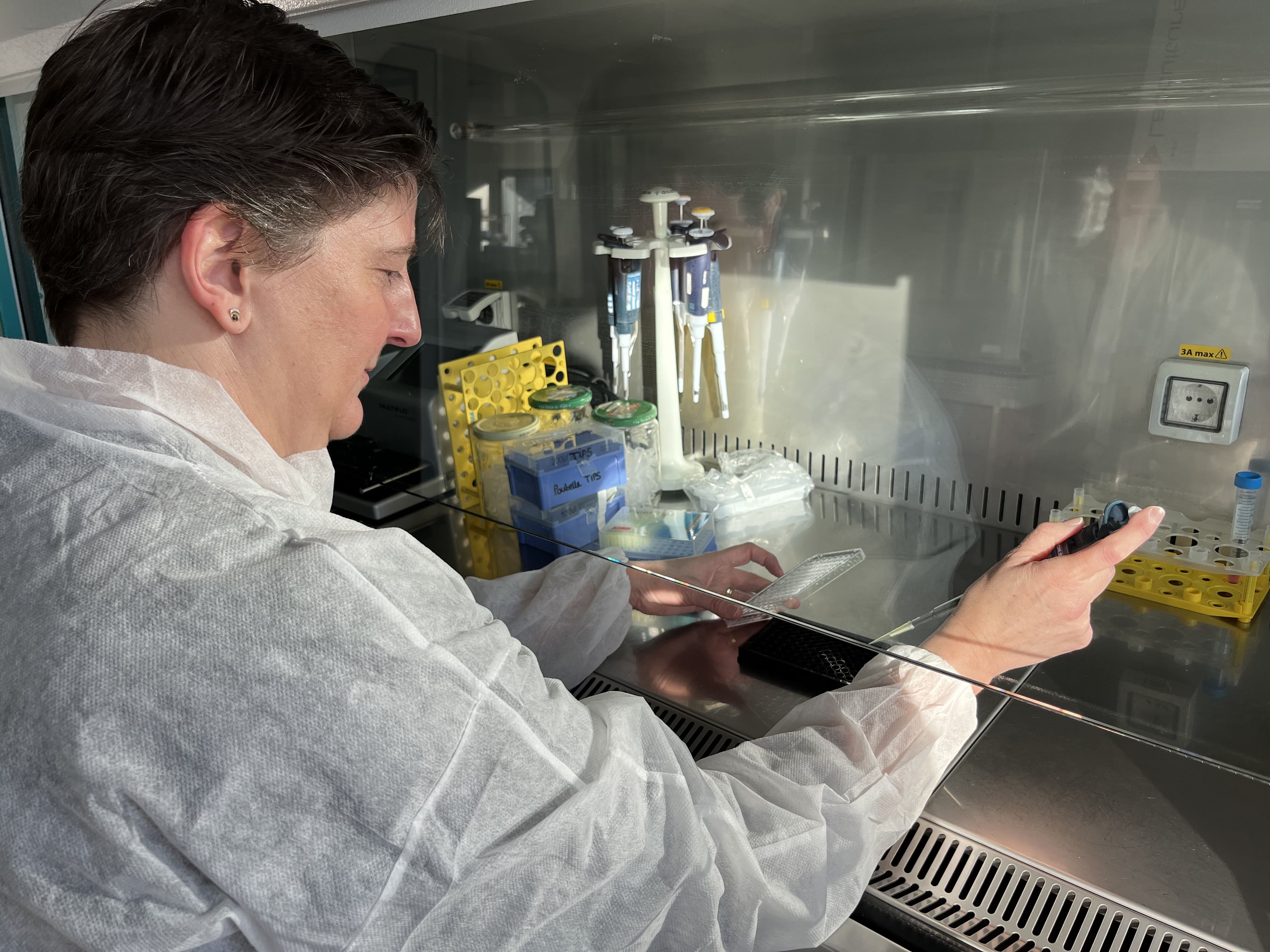 Depuis Loos, HCS Pharma part à la conquête de l'Asie