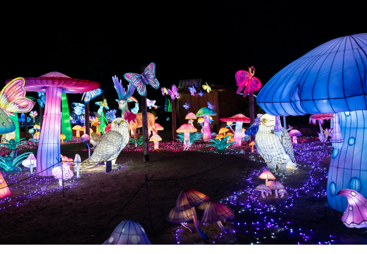 Le Zoo d’Amnéville bat des records de fréquentation en 2023