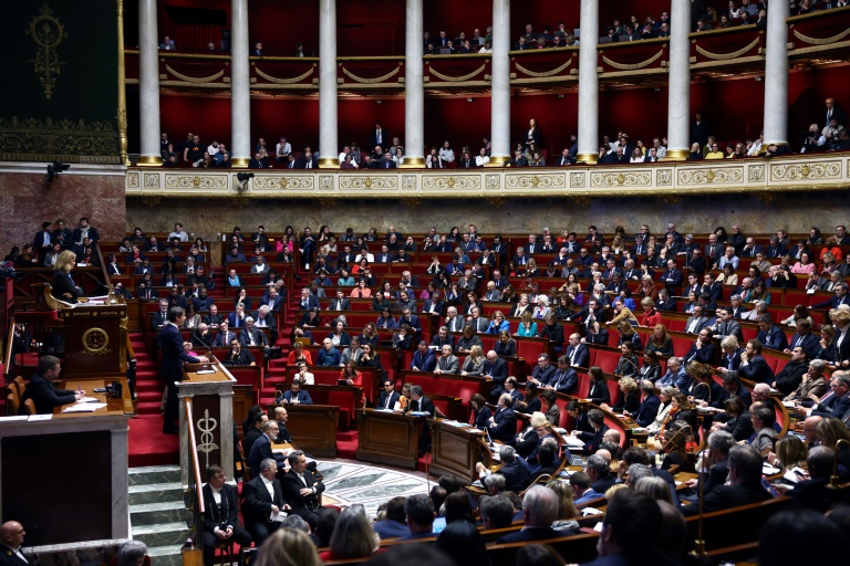 EDF, chlordécone, médicaments: les socialistes font passer leurs textes à l'Assemblée