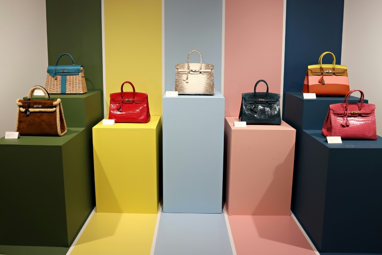Hermès poursuivi par des clients américains incapables d'acheter ses sacs Birkin