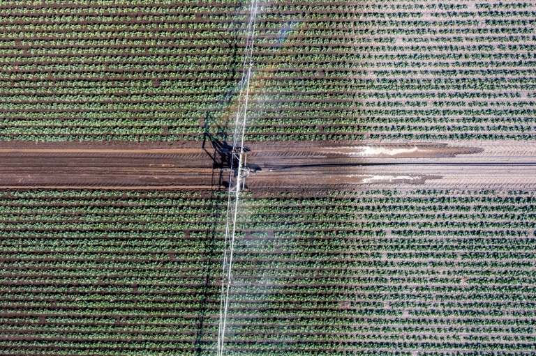Colère agricole: les 27 valident la révision de la PAC, les tracteurs de retour à Bruxelles