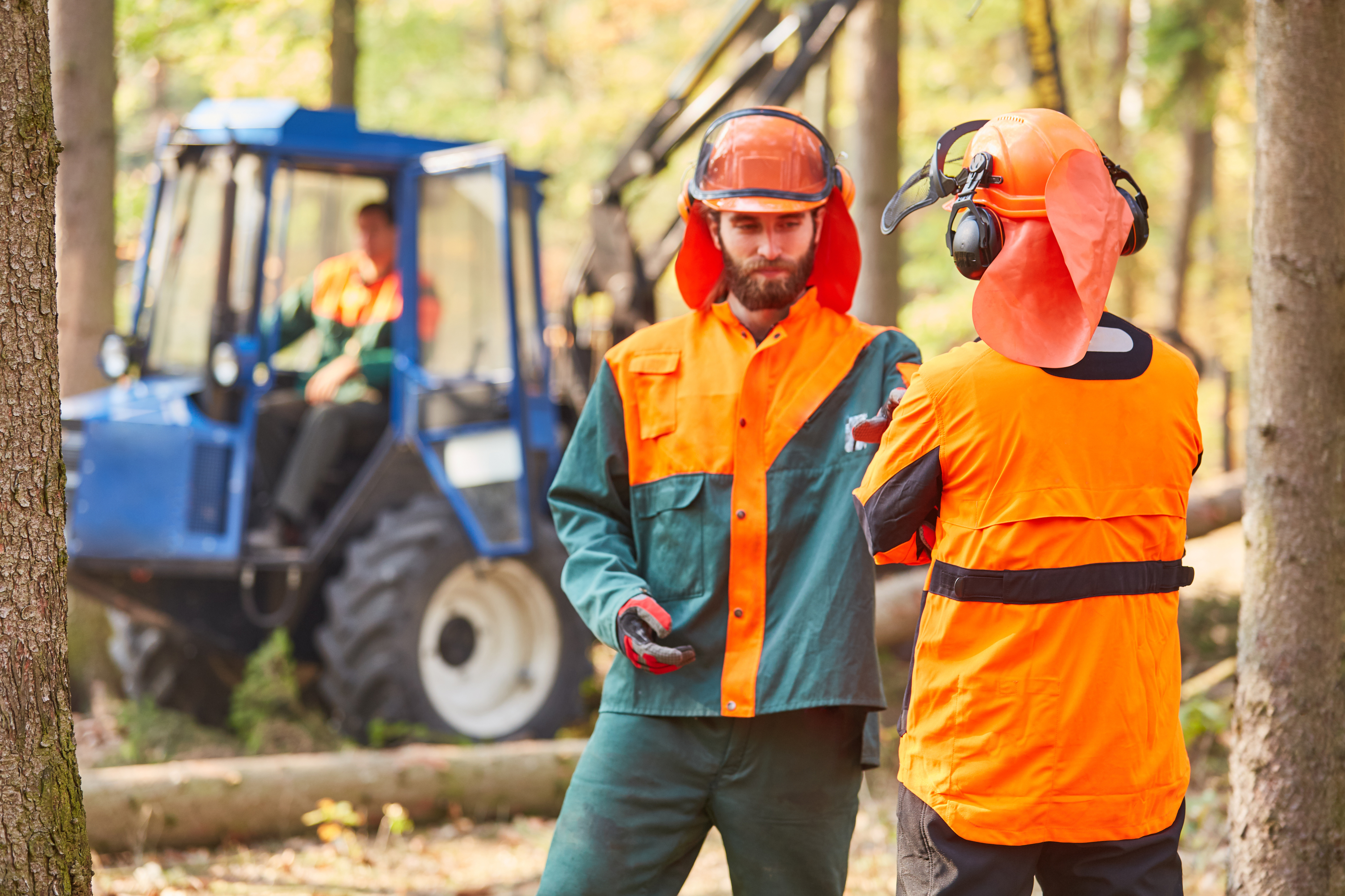 Forêt et Bois de l’Est parmi les trois coopérative forestière créatrice de Forêt d’Ici