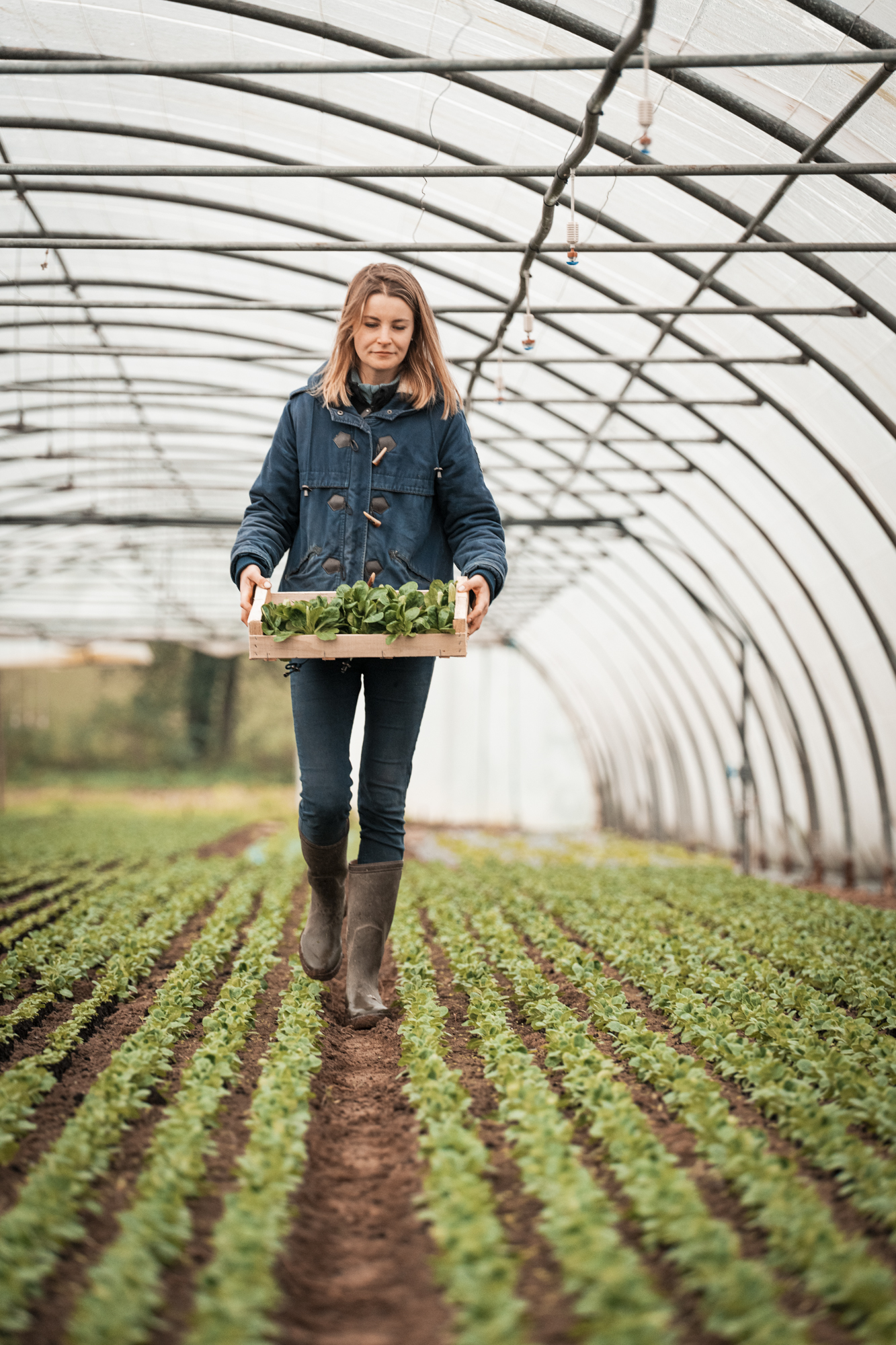 LeCourtCircuit facilite l'approvisionnement local