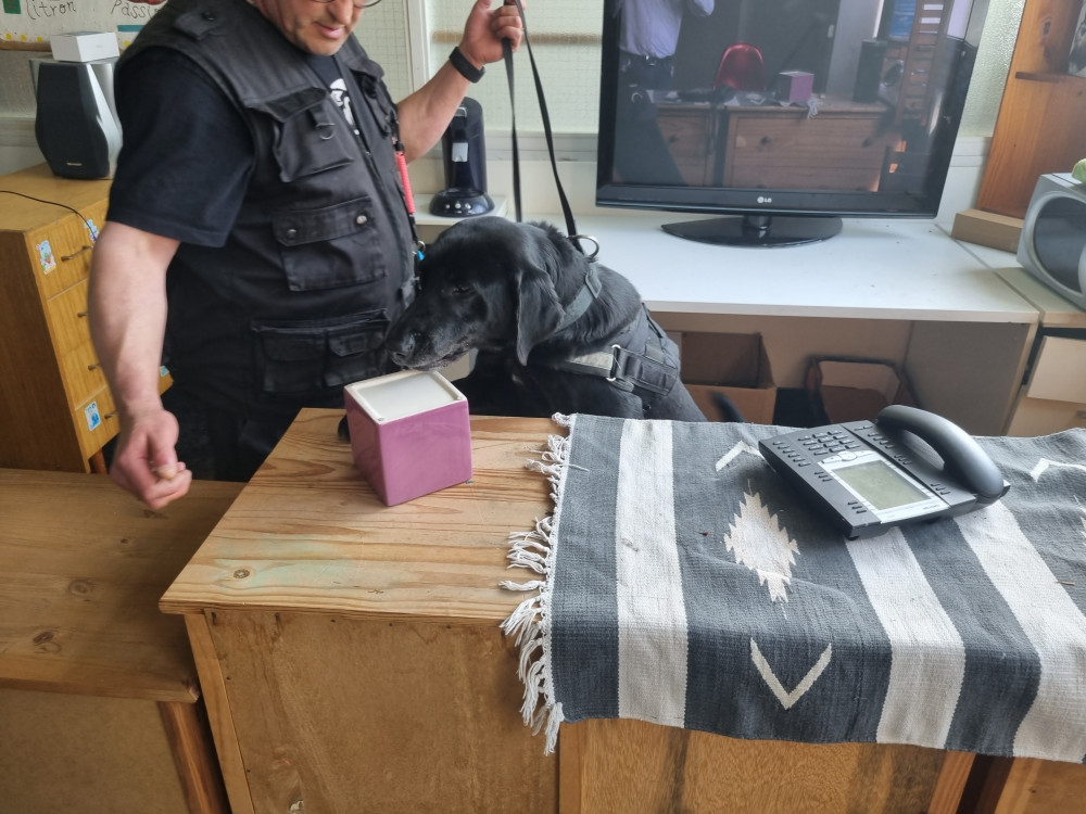 Bulwark forme les agents de la cyno-détection de demain