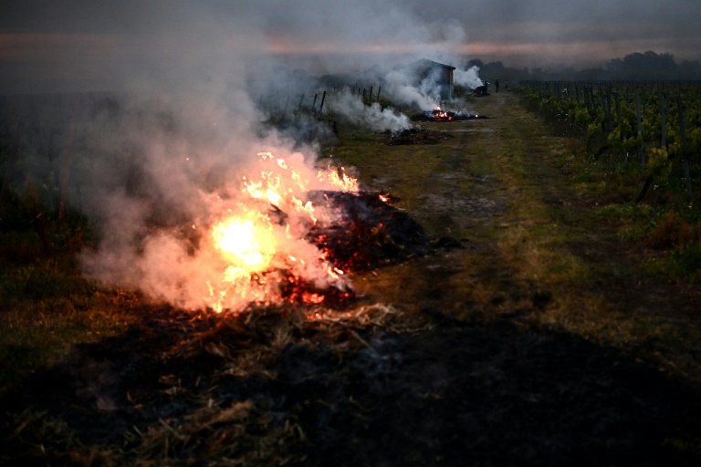 Gel: plus de peur que de mal à Saint-Emilion