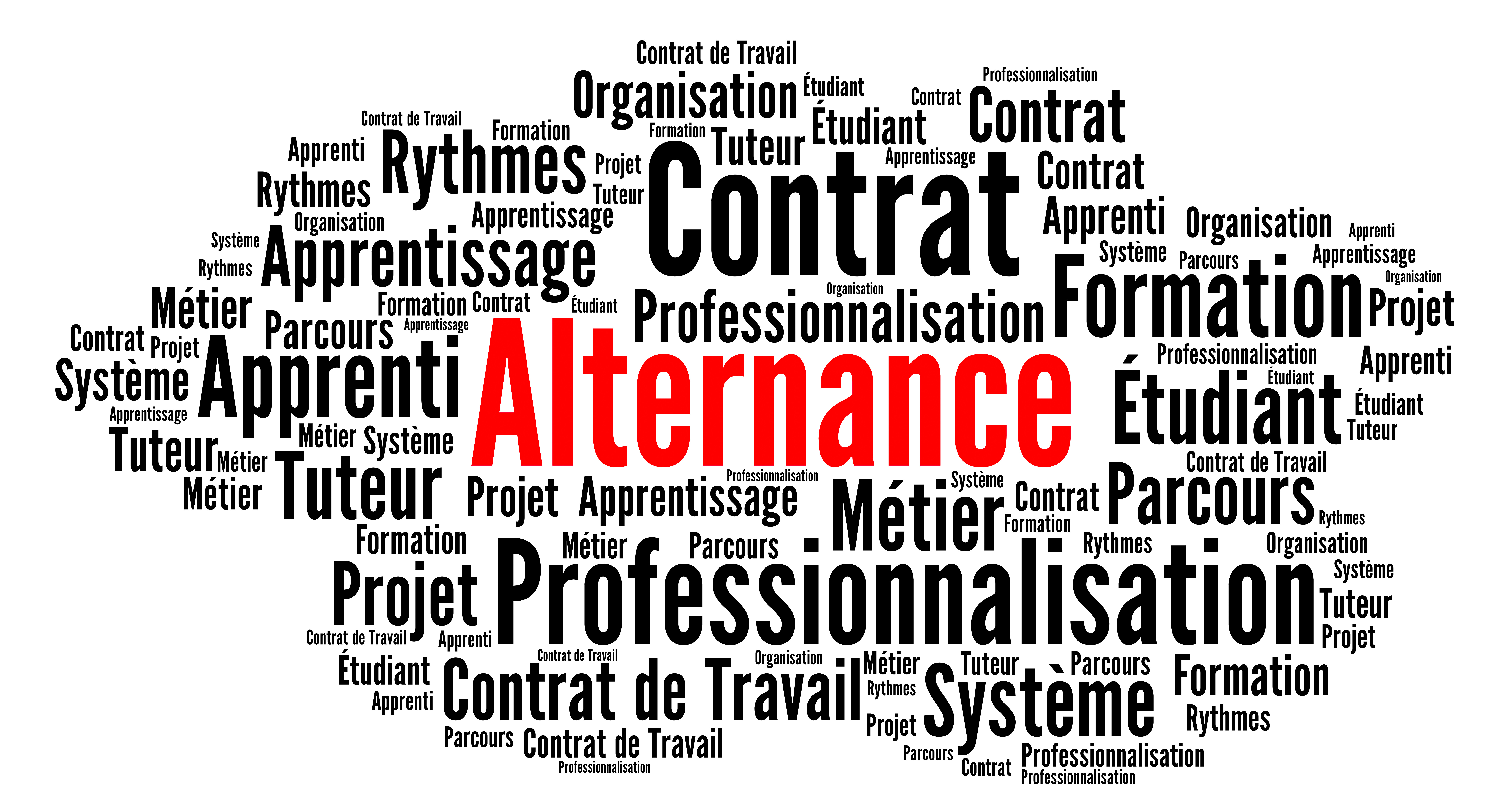 Mâcon : la scale-up Matawan lauréate du Concours des Pépites de l’Alternance BFC 2024