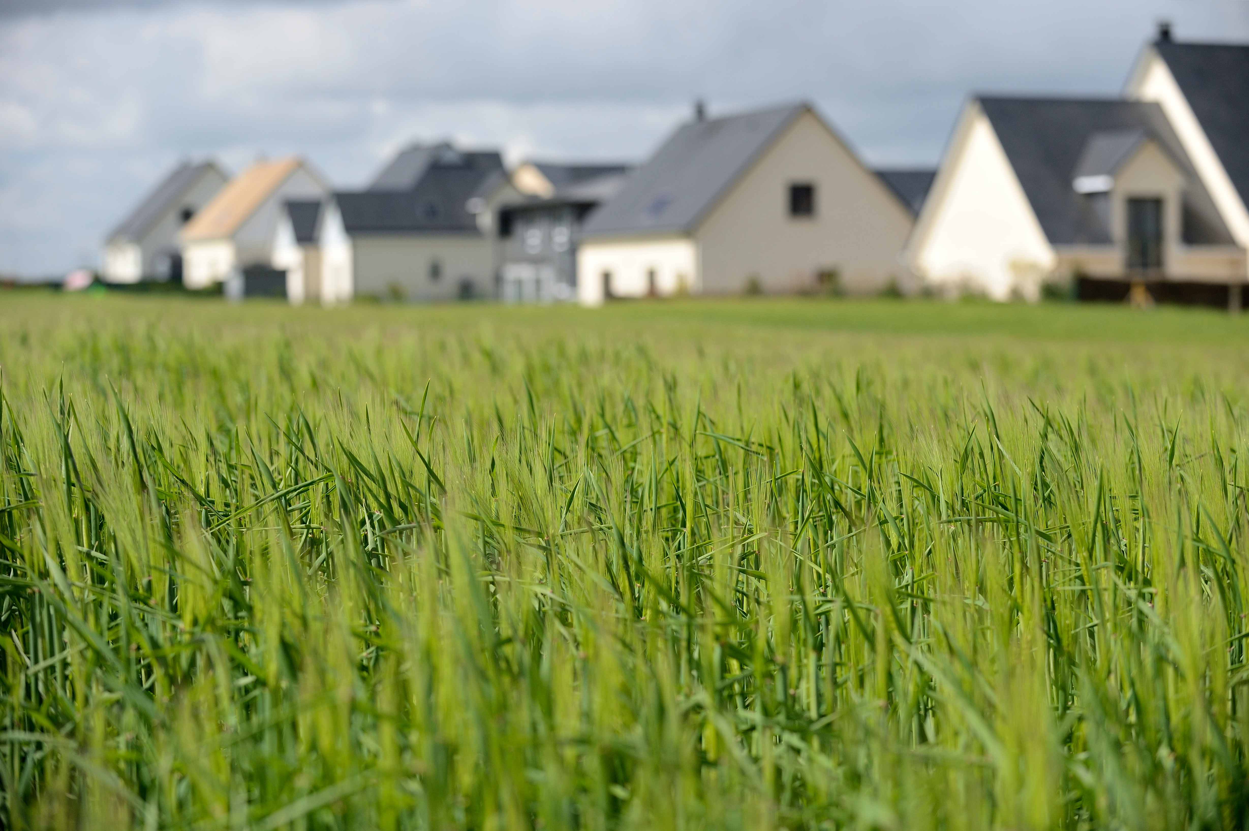  Réindustrialisation : faciliter l'accès au foncier économique