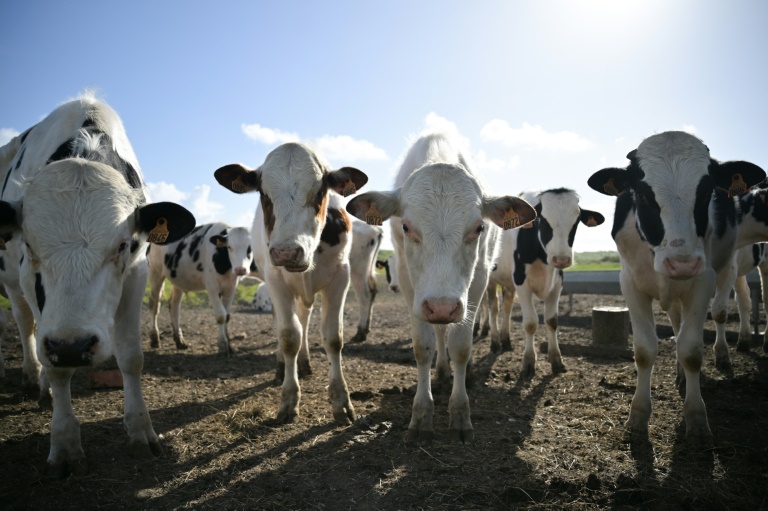 Agriculture: l'Assemblée s'empare du projet de loi pour répondre à la colère