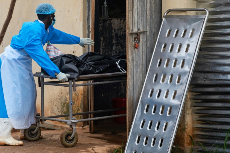 Ebola: portrait d'un virus tueur