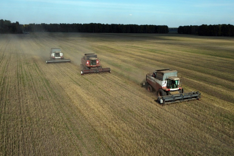 Ukraine: feu vert des 27 pour taxer les céréales russes importées dans l'UE