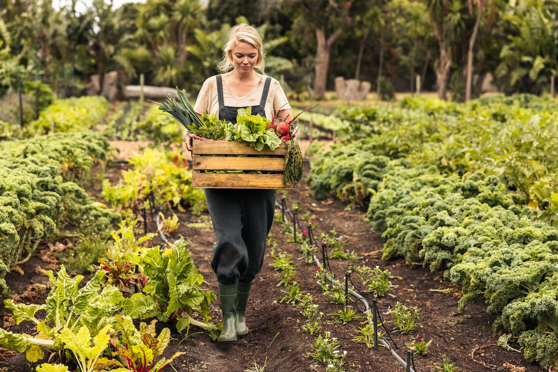La FEVE lance un appel à projets pour les agricultrices 