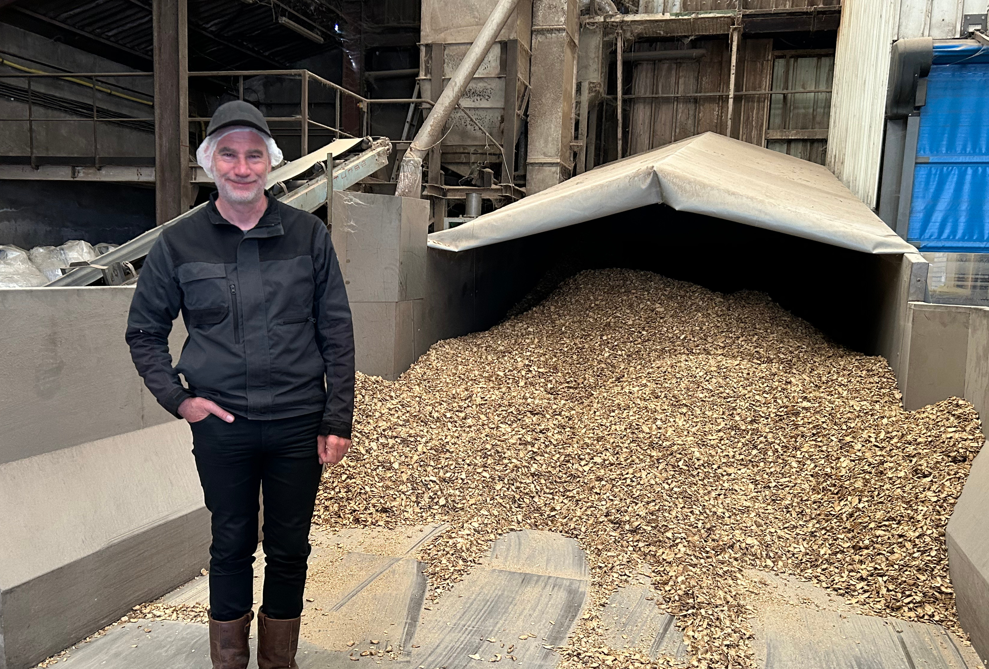 Chicorée du Nord, 90 ans d’histoire et un avenir incertain