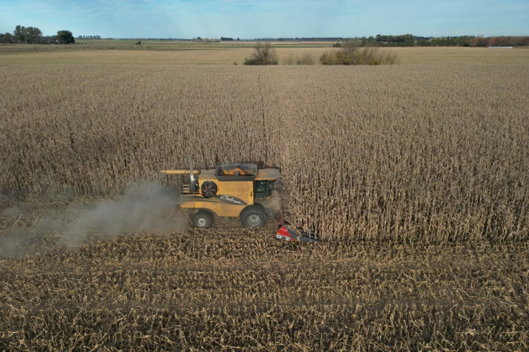 Argentine: la manne de la première récolte de l'ère Milei se fait attendre