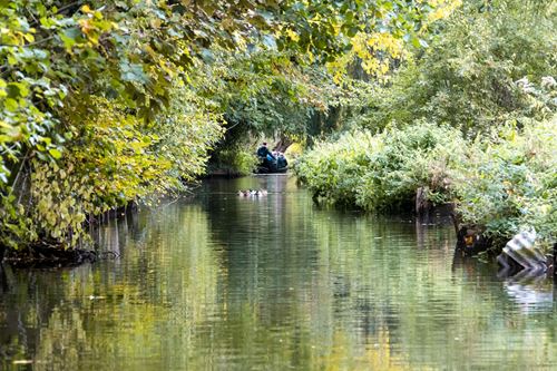 Prendre le temps d’irriguer nos sens aux Hortillonnages