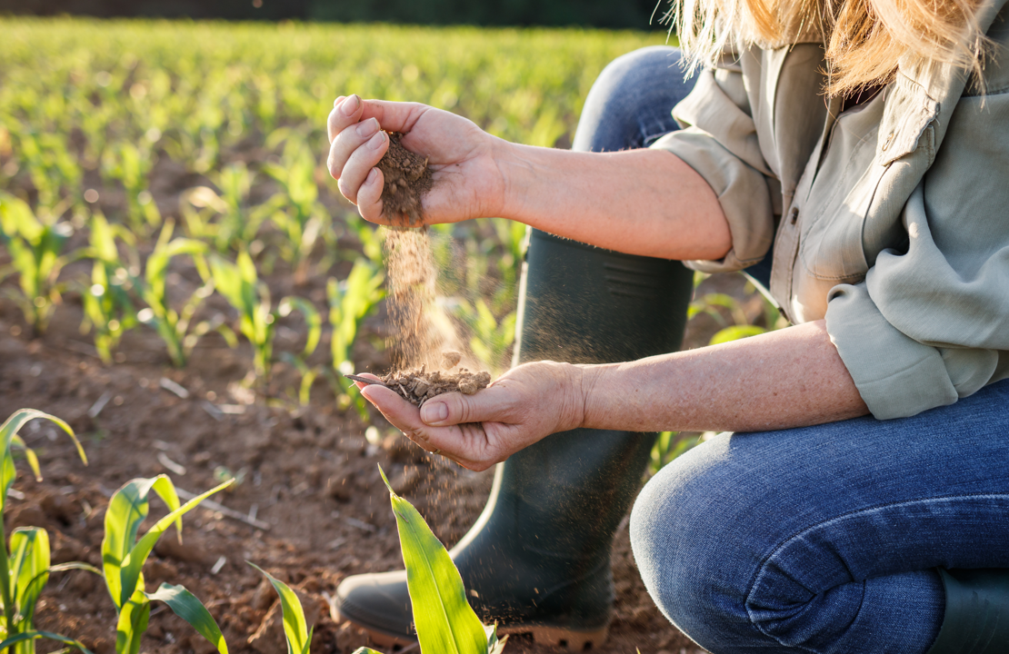 Le colloque de restitution des résultats du projet Metha-BioSol bientôt à Dijon