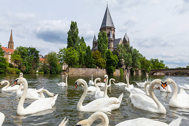 Comme un avant-goût d'été... 