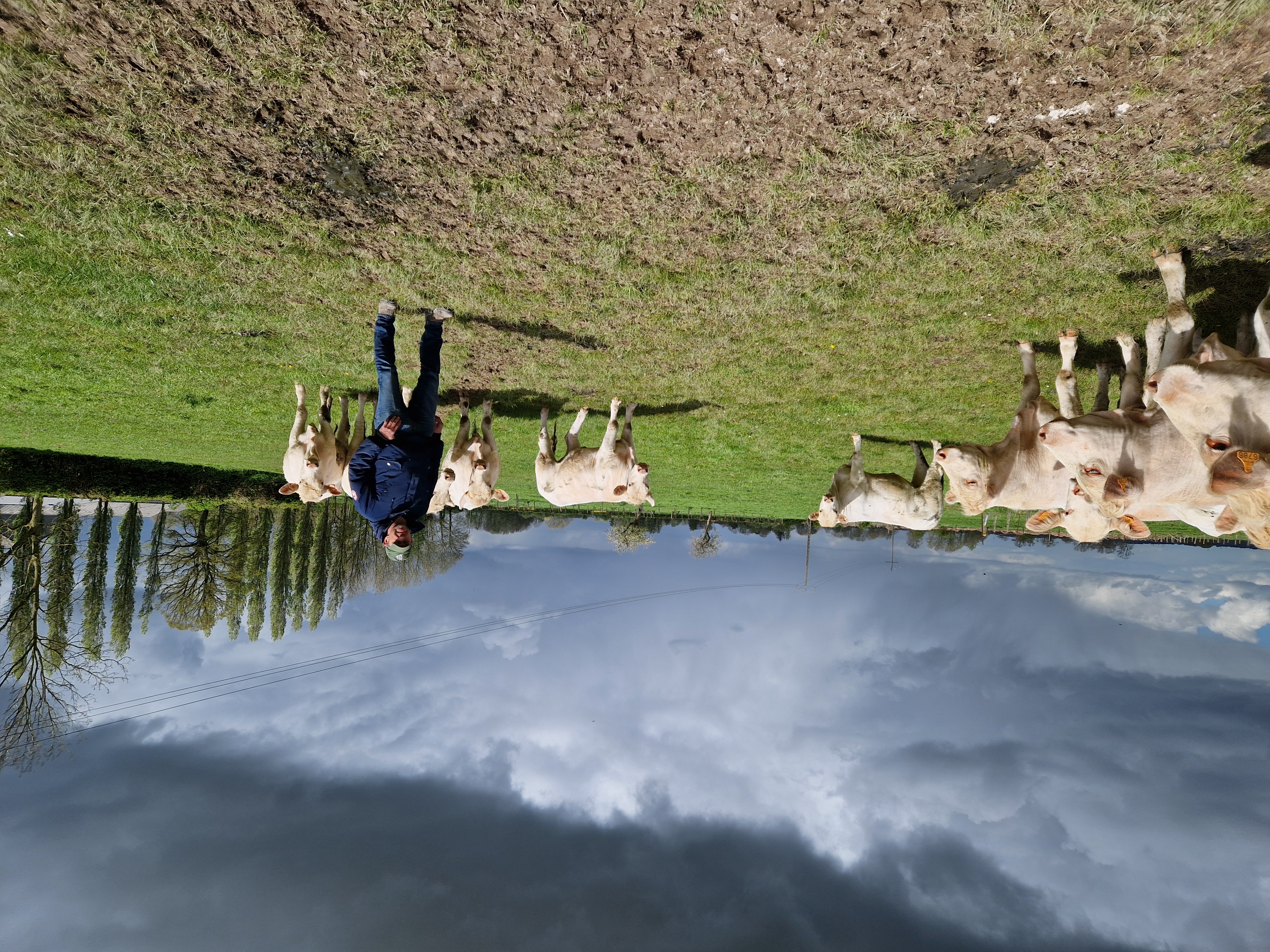 Mathieu Cavillon, un exploitant en pleine mutation