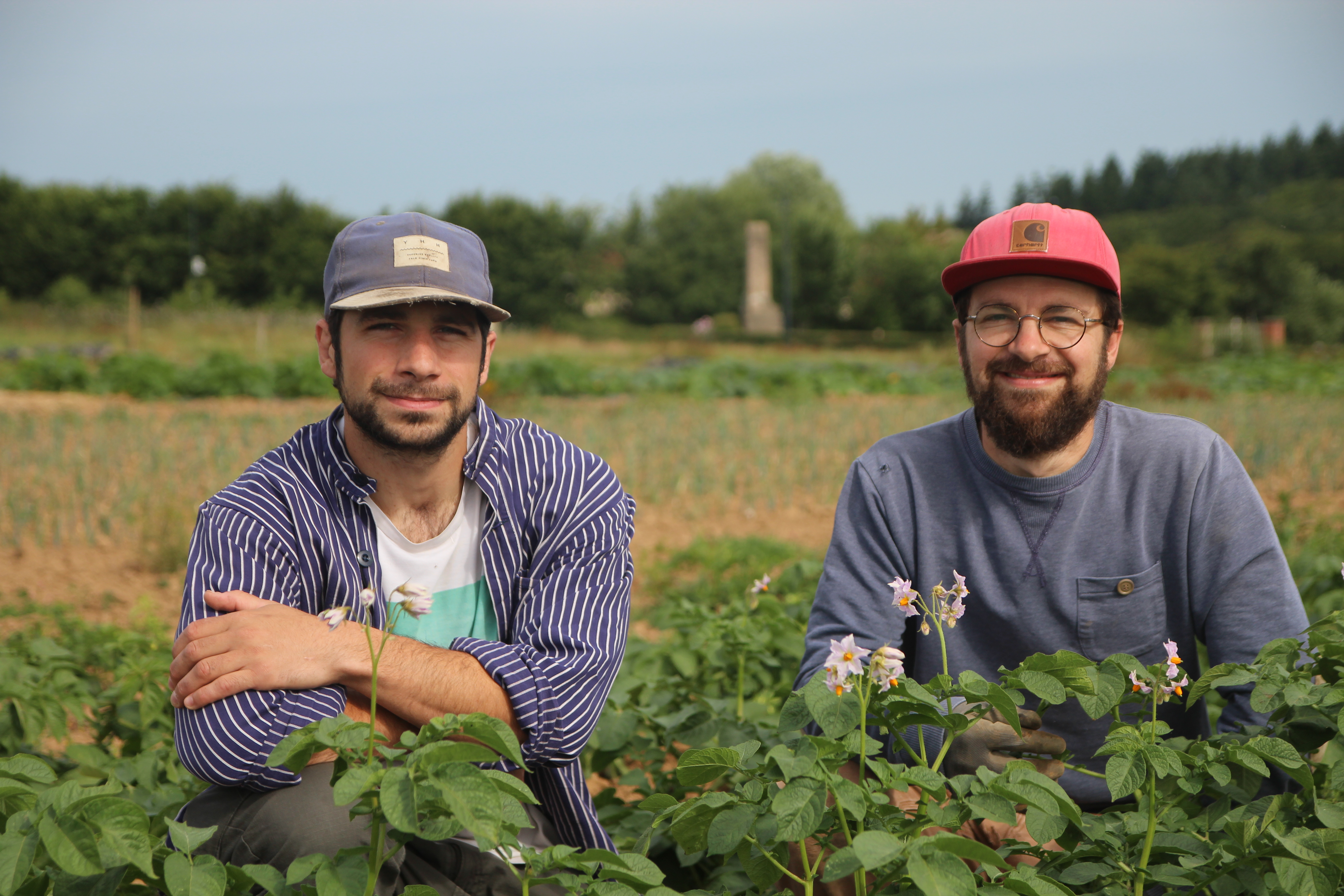 Des légumes frais et bios avec le Jardin des Mondrots