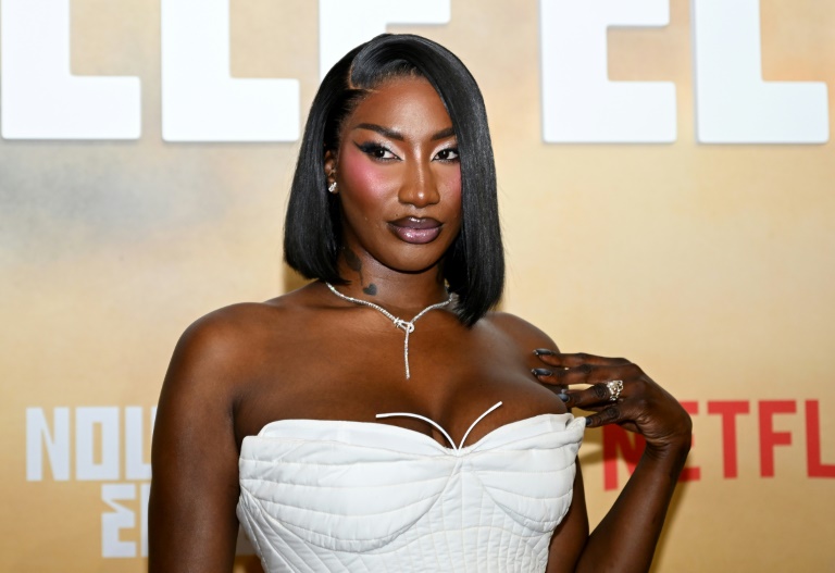 Aya Nakamura visée par des attaques racistes: l'enquête avance, avec des gardes à vue et du matériel saisi