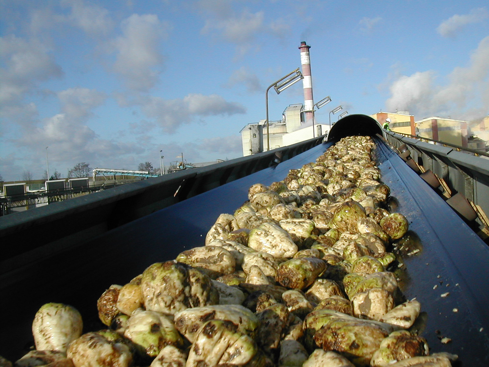 Innovation et décarbonation pour Saint Louis Sucre