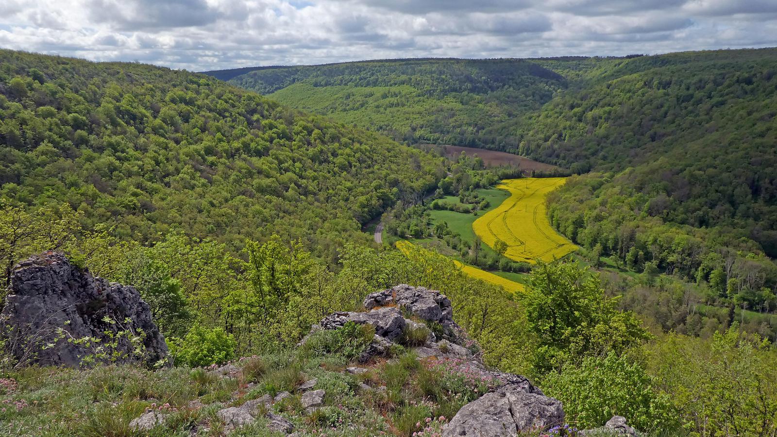 La réserve naturelle régionale du Val-Suzon lauréat du label liste verte de l’UICN